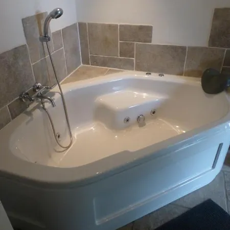 Onder De Peppel Met Sauna En Jacuzzi Holiday home