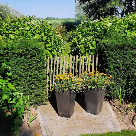 Onder De Peppel Met Sauna En Jacuzzi *