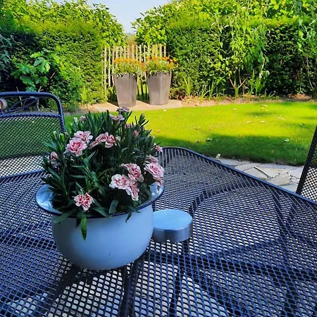 Onder De Peppel Met Sauna En Jacuzzi *