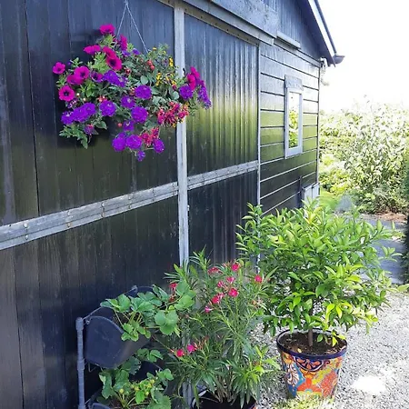 Holiday home Onder De Peppel Met Sauna En Jacuzzi