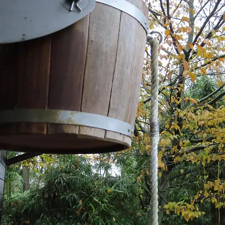 Onder De Peppel Met Sauna En Jacuzzi *