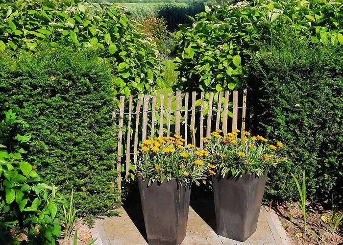 Onder De Peppel Met Sauna En Jacuzzi *