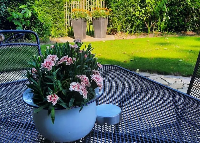 Onder De Peppel Met Sauna En Jacuzzi *