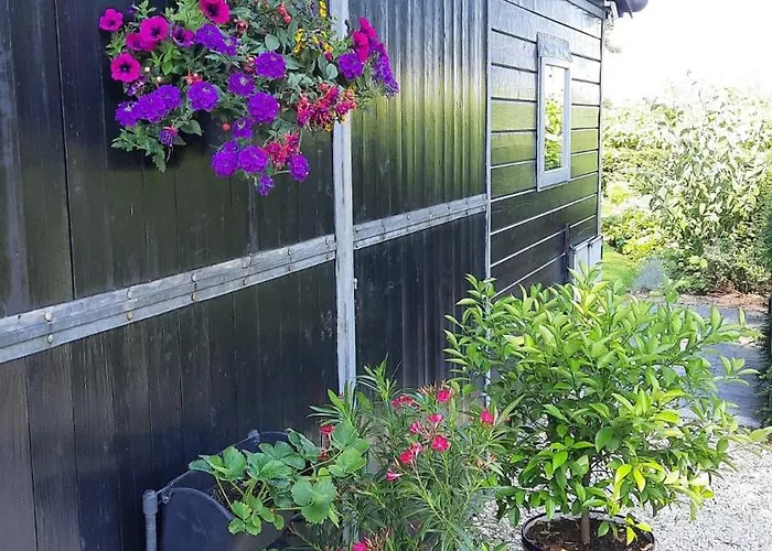 Holiday home Onder De Peppel Met Sauna En Jacuzzi