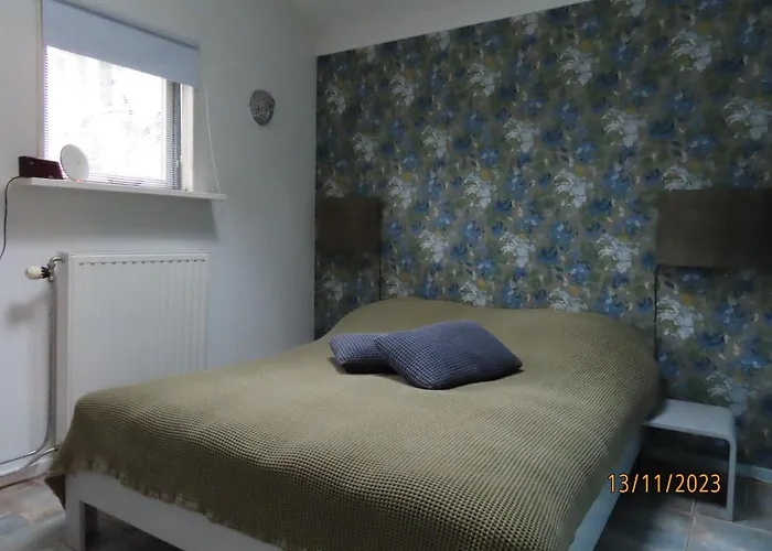 Onder De Peppel Met Sauna En Jacuzzi Semesterbostad